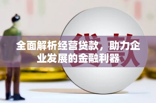 深水埗全面解析经营贷款，助力企业发展的金融利器