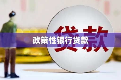深水埗政策性银行贷款