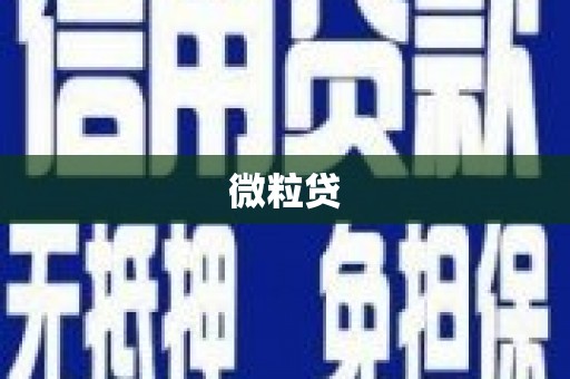 深水埗微粒贷