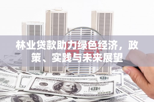 深水埗林业贷款助力绿色经济，政策、实践与未来展望