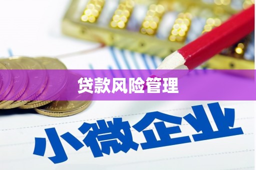 深水埗贷款风险管理