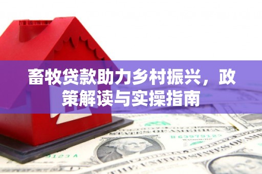 深水埗畜牧贷款助力乡村振兴，政策解读与实操指南