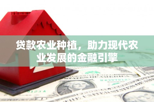 深水埗贷款农业种植，助力现代农业发展的金融引擎
