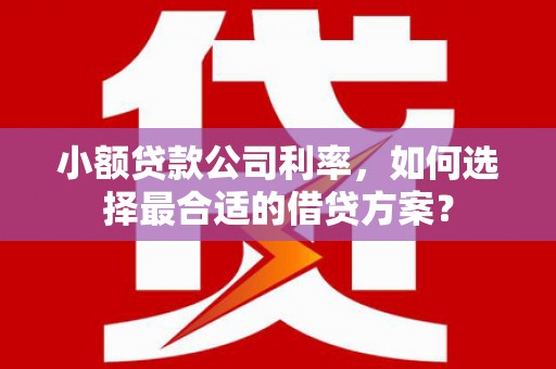 深水埗小额贷款公司利率，如何选择最合适的借贷方案？