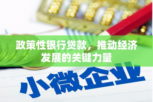 深水埗政策性银行贷款，推动经济发展的关键力量