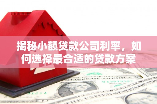 深水埗揭秘小额贷款公司利率，如何选择最合适的贷款方案