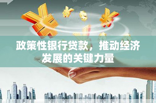 深水埗政策性银行贷款，推动经济发展的关键力量