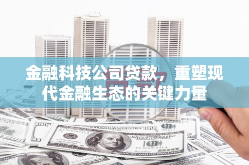 深水埗金融科技公司贷款，重塑现代金融生态的关键力量