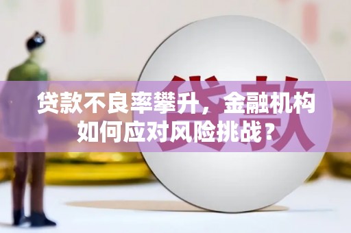 深水埗贷款不良率攀升，金融机构如何应对风险挑战？