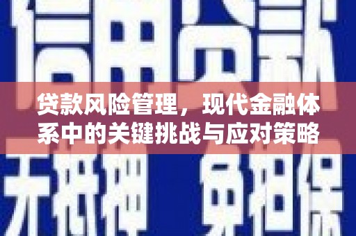 深水埗贷款风险管理，现代金融体系中的关键挑战与应对策略