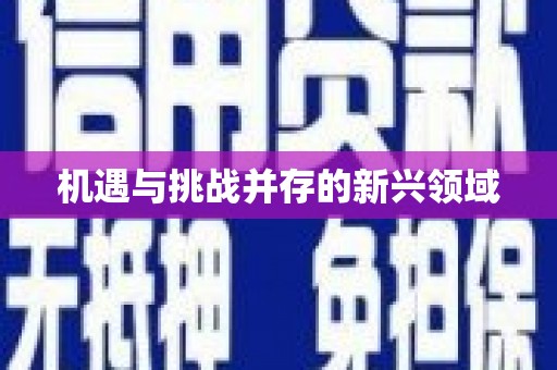 深水埗机遇与挑战并存的新兴领域