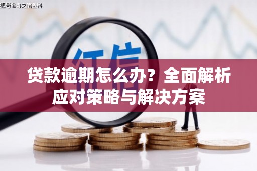 深水埗贷款逾期怎么办？全面解析应对策略与解决方案